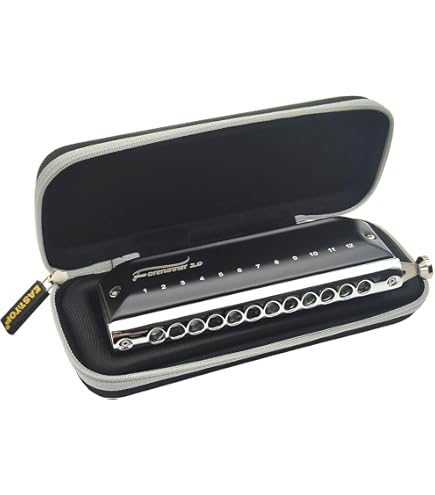 Amazon.com: Suzuki SCX-48 Chromatix Series Harmonica C 12